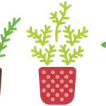 Piante da Appartamento: Quali scegliere